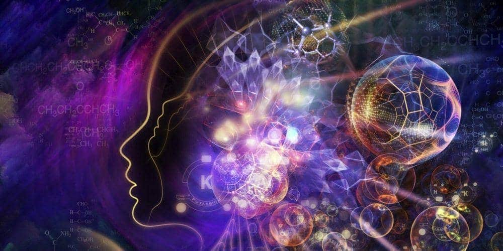 Οι επιδράσεις του LSD στον εγκέφαλο
