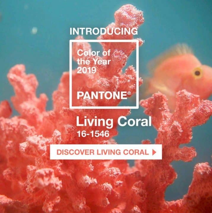 Living coral