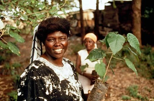 Wangari Maathai