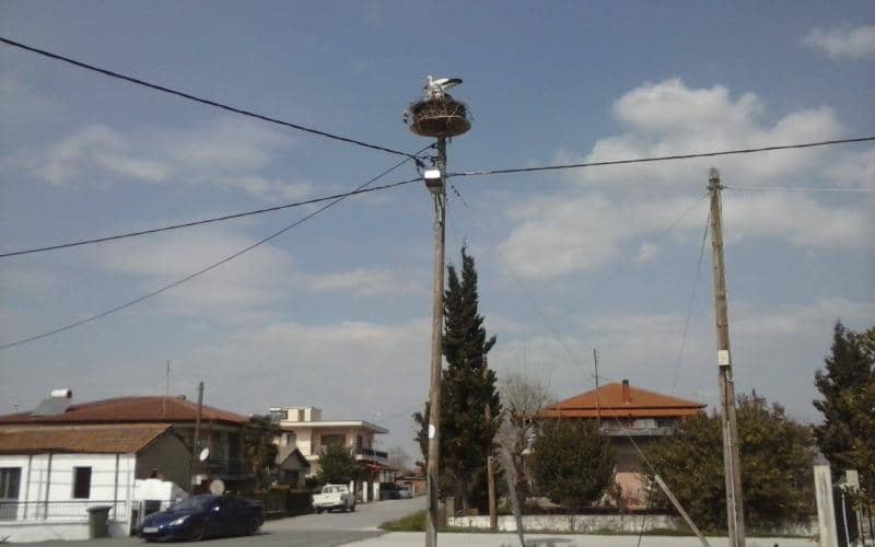 Κορωνησία