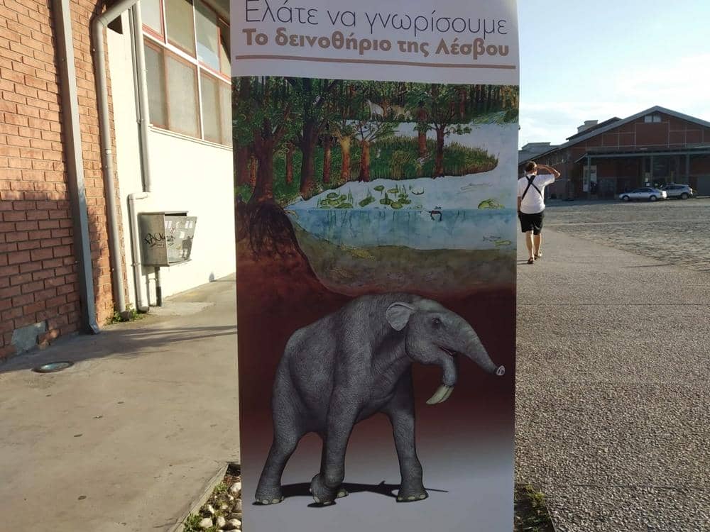 Μουσείο Φυσικής Ιστορίας