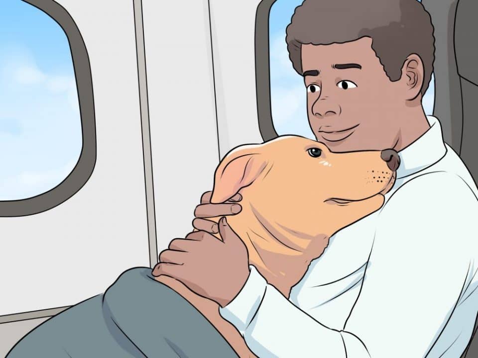 emotional support dog