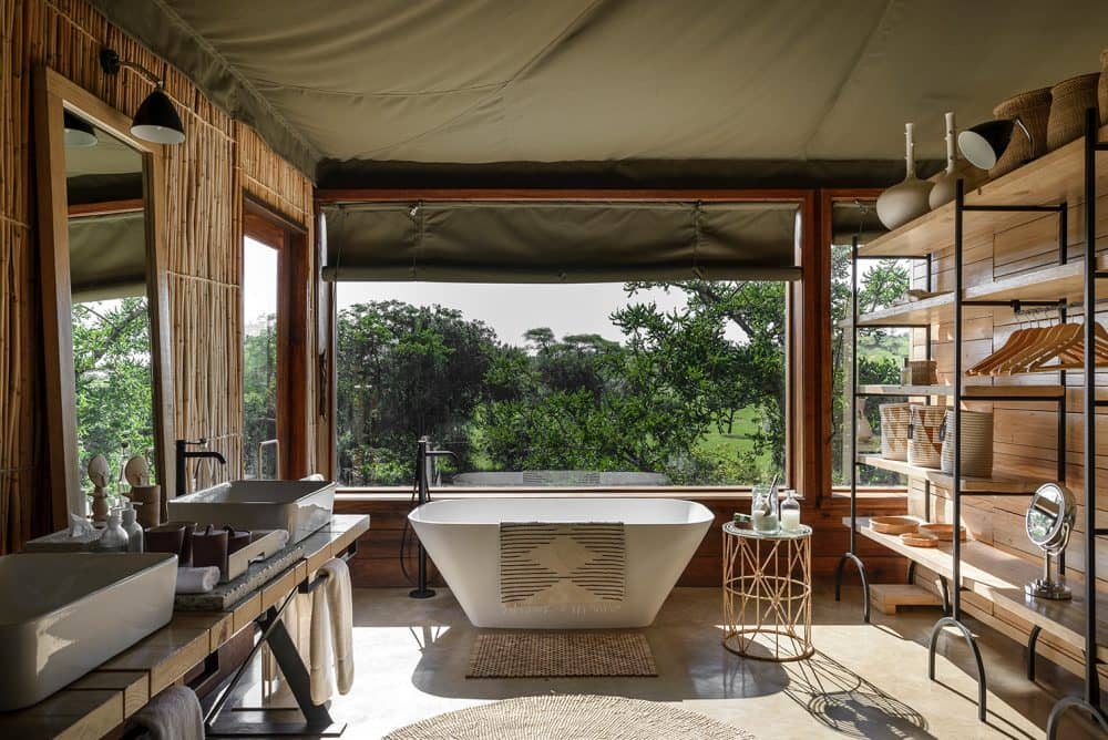 Safari