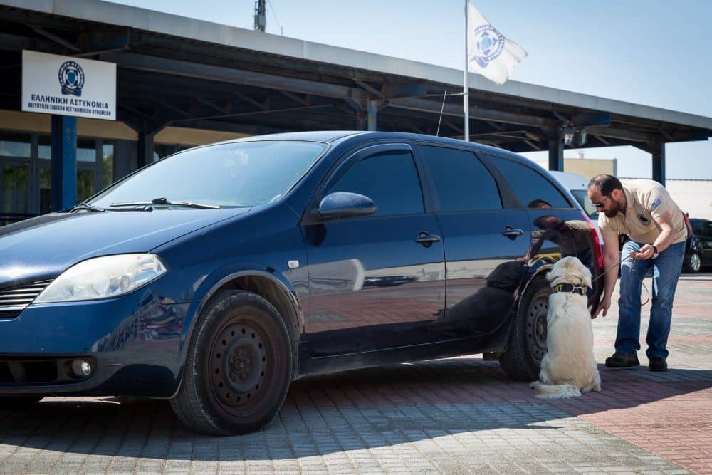 Τμήμα Συνοδών Αστυνομικών Σκύλων