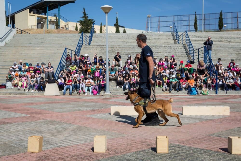 Τμήμα Συνοδών Αστυνομικών Σκύλων