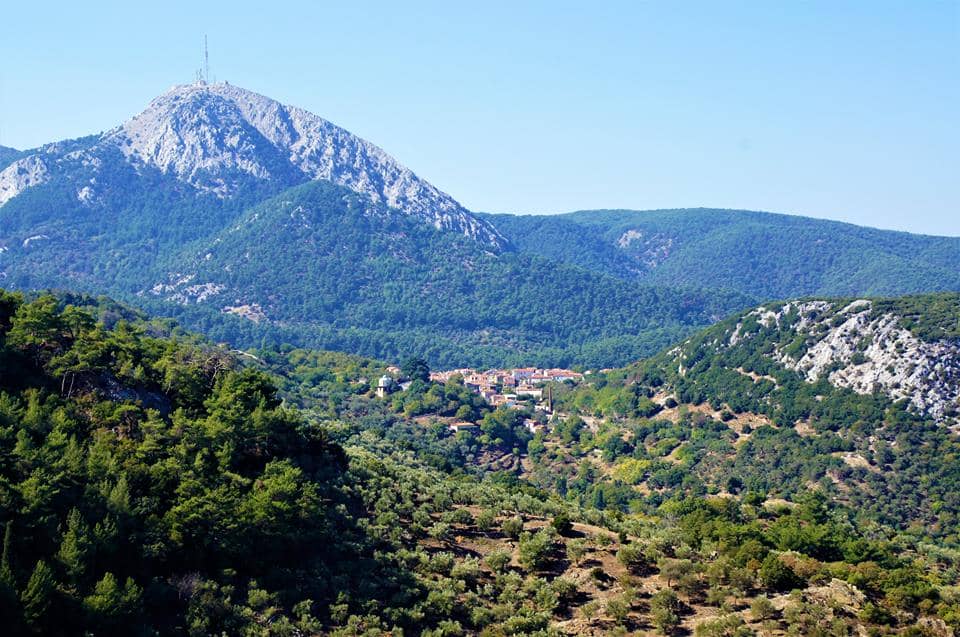 Στη Γιορτή Κάστανου στην Αγιάσο Λέσβου. Πηγή εικόνας: grekamag.gr