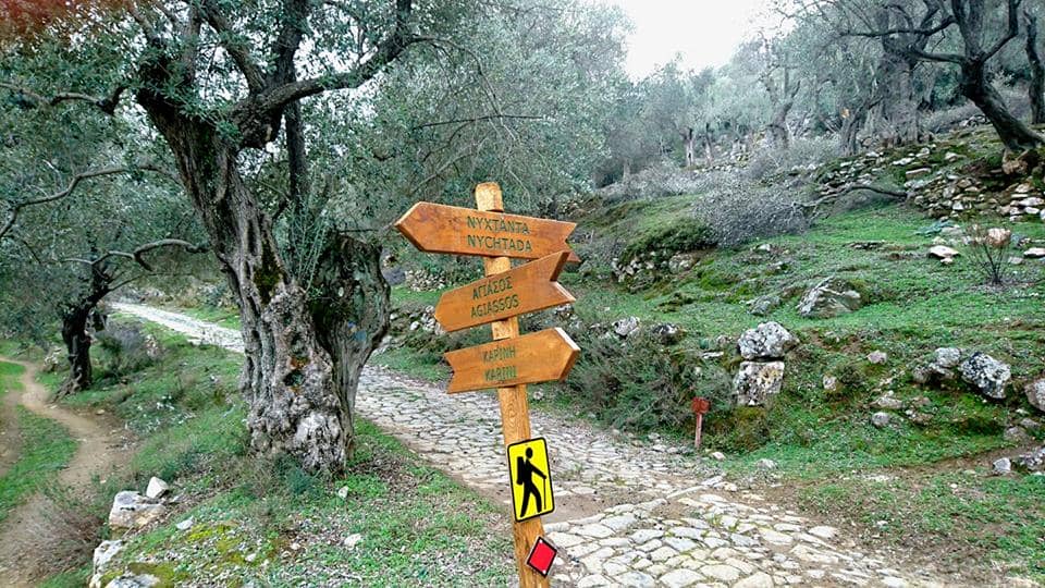 Στη Γιορτή Κάστανου στην Αγιάσο Λέσβου. Πηγή εικόνας: grekamag.gr