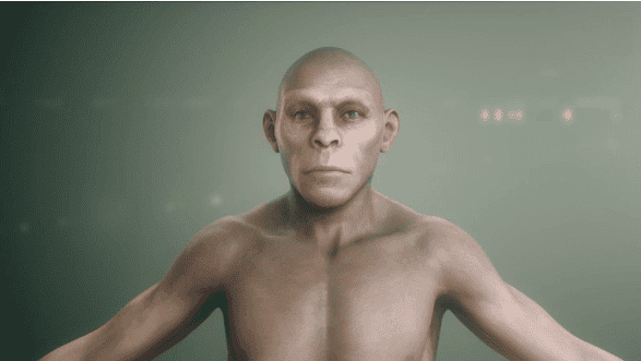 Human Origins