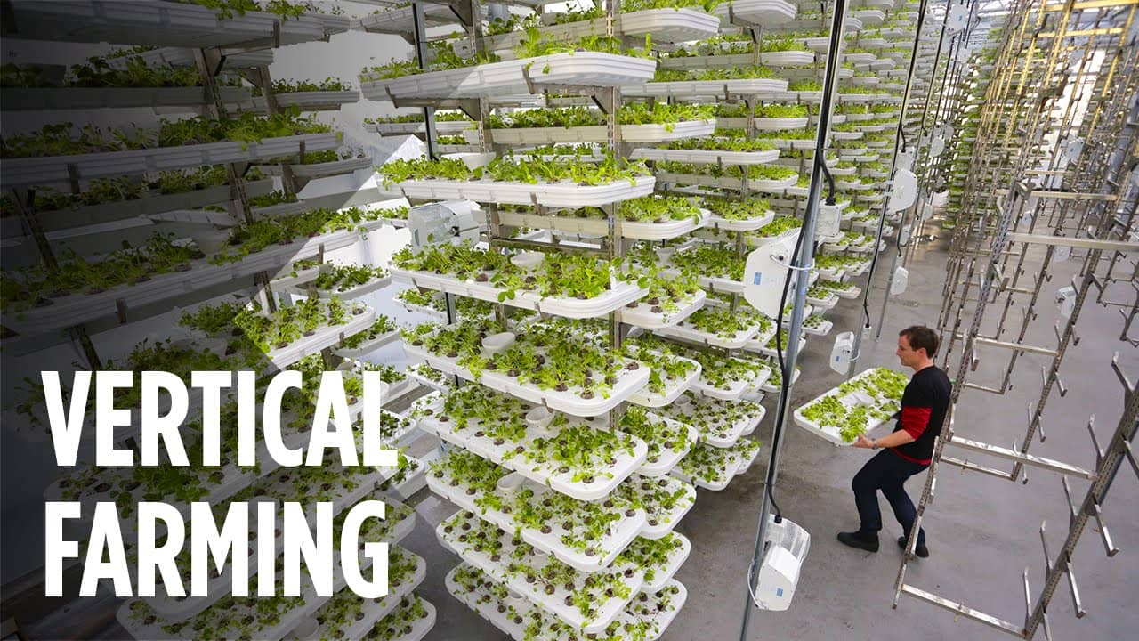 Vertical Farming: η κάθετη καλλιέργεια ως μέλλον ή ανάγκη;