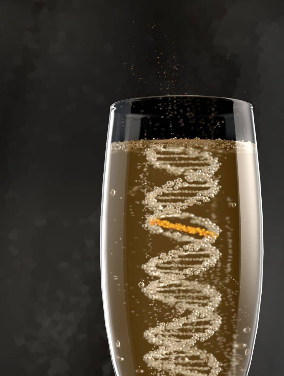 DNA