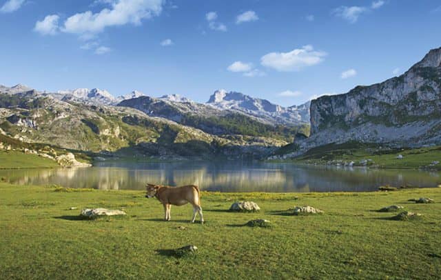 Εθνικό Πάρκο Picos de Europa