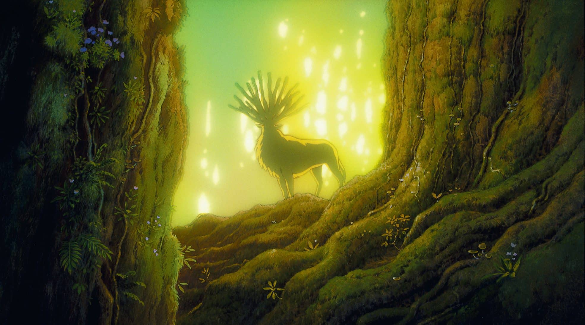 Miyazaki