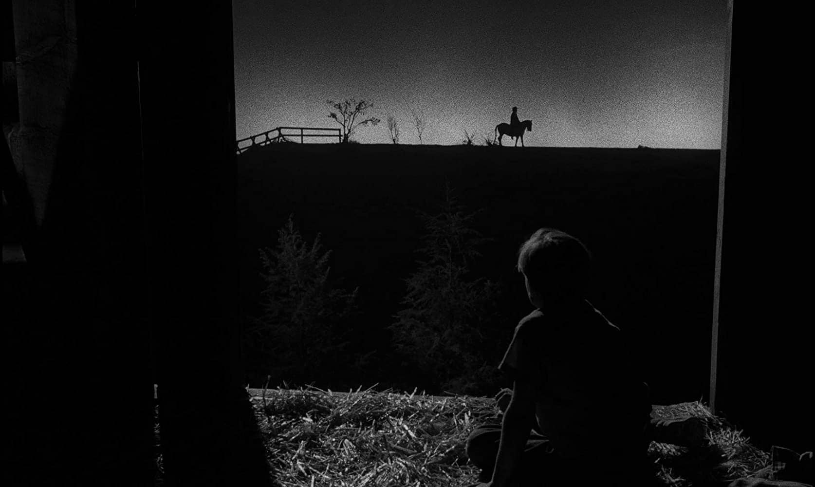 The Night of the Hunter
