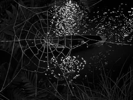 The Night of the Hunter