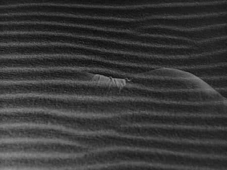 Woman In The Dunes , Body