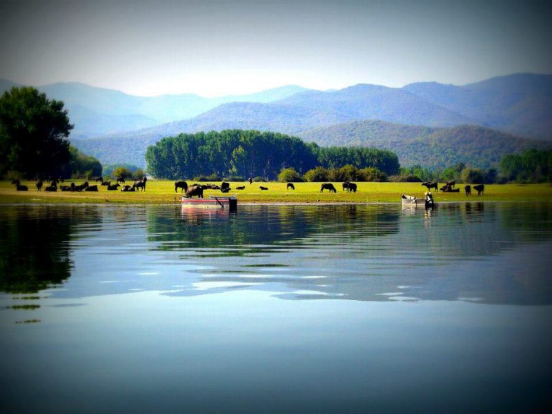 Η λίμνη Κερκίνη Άνω Πορόια