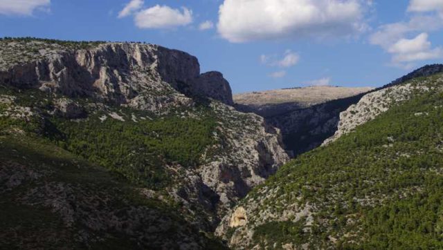 4+1 προτάσεις για πεζοπορία κοντά στην Αθήνα