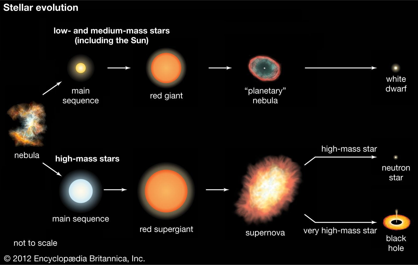 supernova: διάγραμμα της εξέλιξης των αστέρων