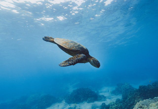 Natura 2000