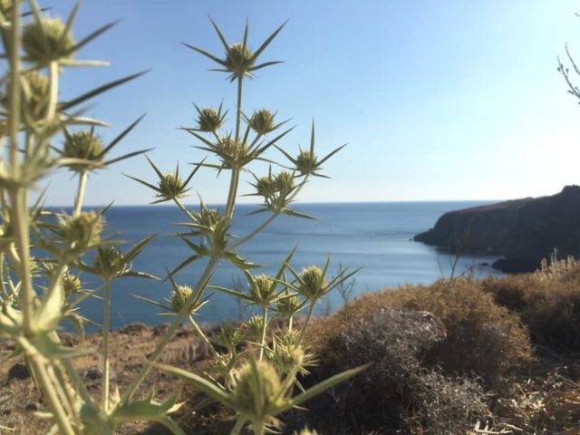 Ταβάρι-Μεσοτόπου-Λέσβου