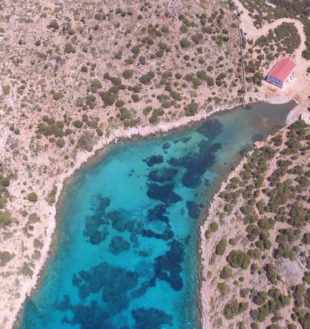 Το μοναδικό καταφύγιο θαλάσσιας ζωής βρίσκεται στο Αιγαίο