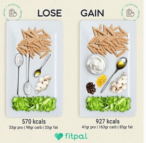 Fitpal