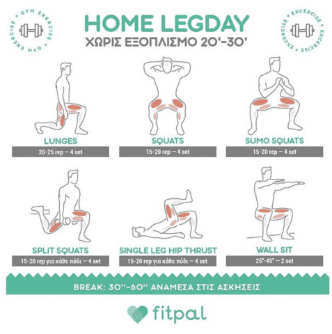 Fitpal