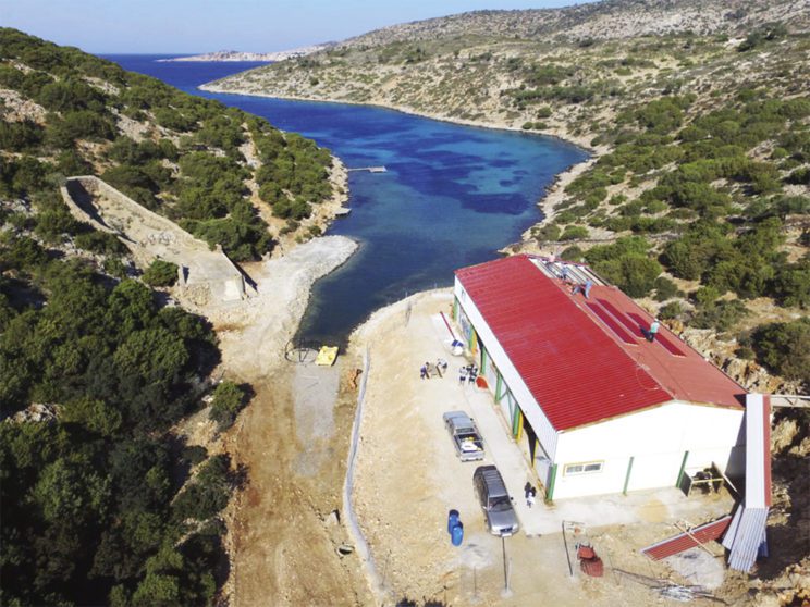 Το πρώτο καταφύγιο θαλάσσιας ζωής βρίσκεται στο Αιγαίο