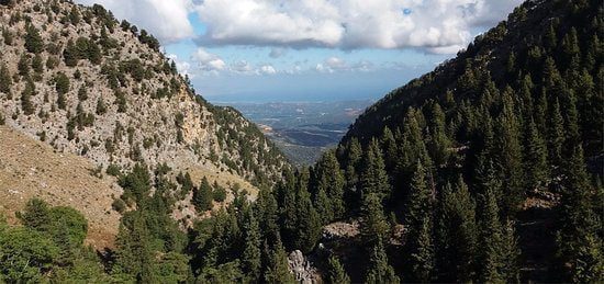 Τρομάρισσα
