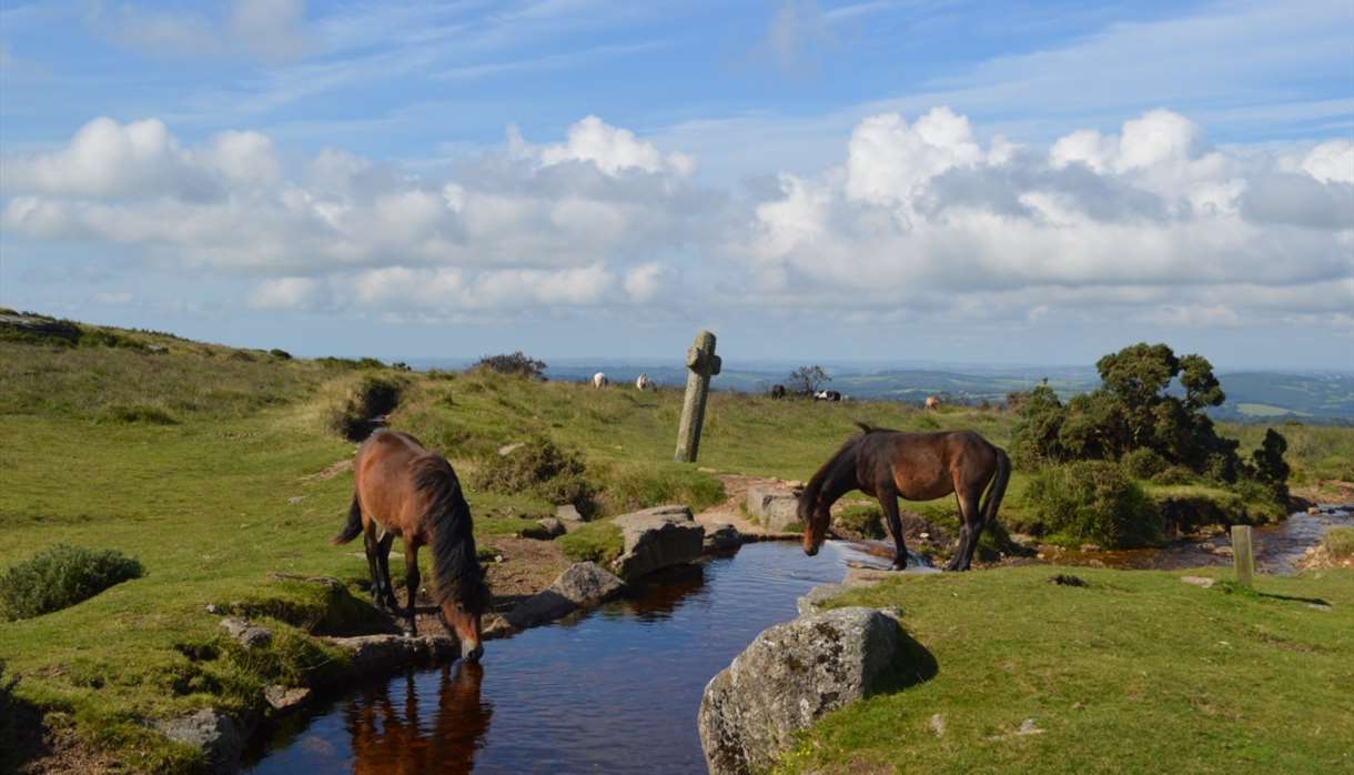 Dartmoor