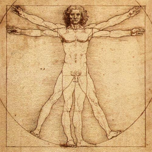 leonardo da vinci