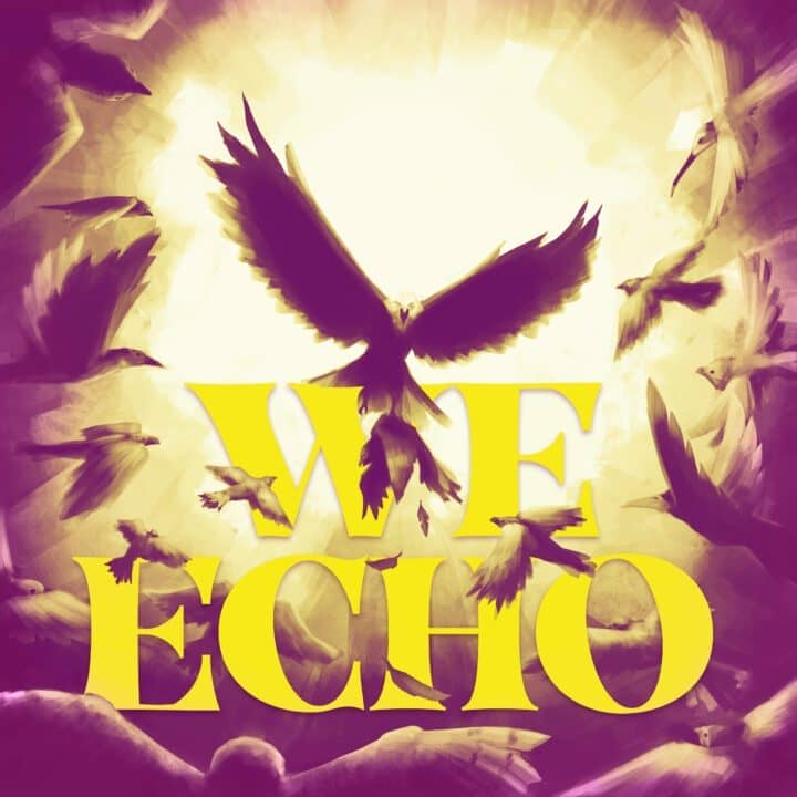 We Echo Cover