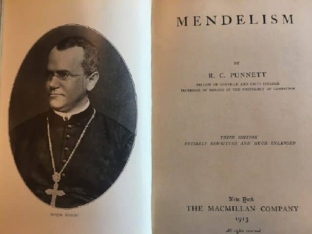 Gregor Mendel