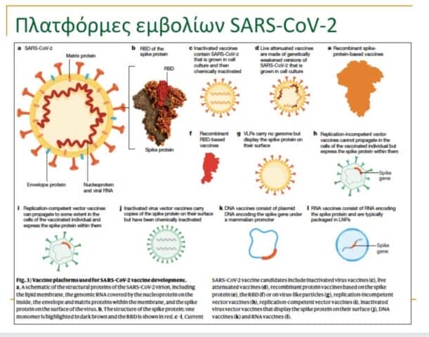 Covid19 vaccine