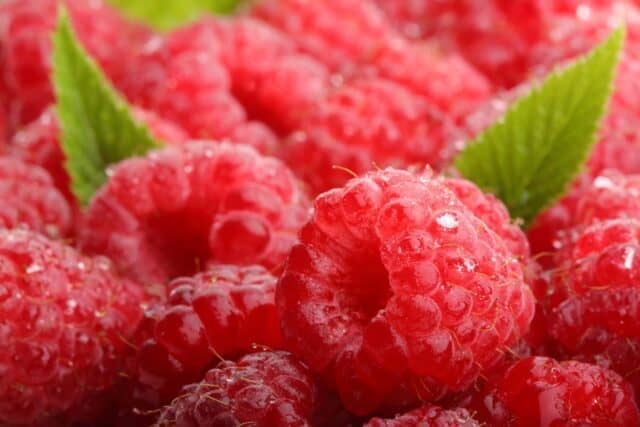 raspberries