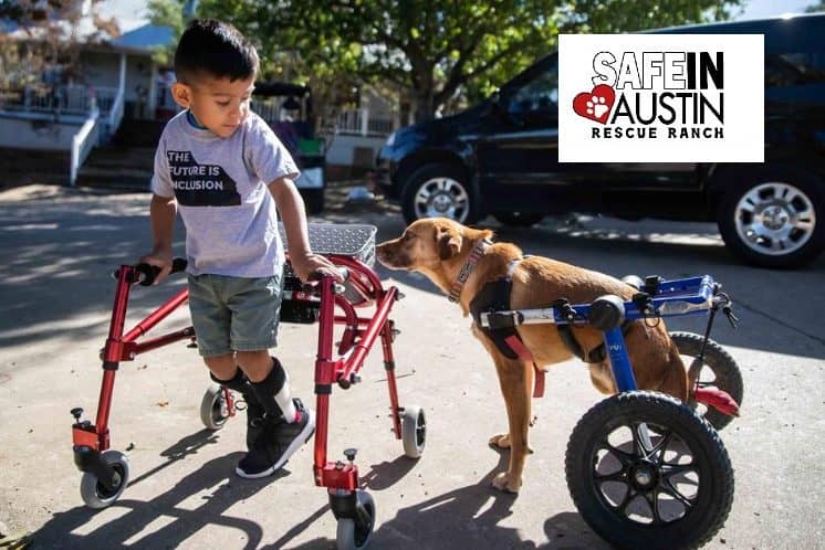 «Safe in Austin»: Μια διαφορετική διαδικασία αποκατάστασης για παιδιά και ζωάκια με ειδικές ανάγκες