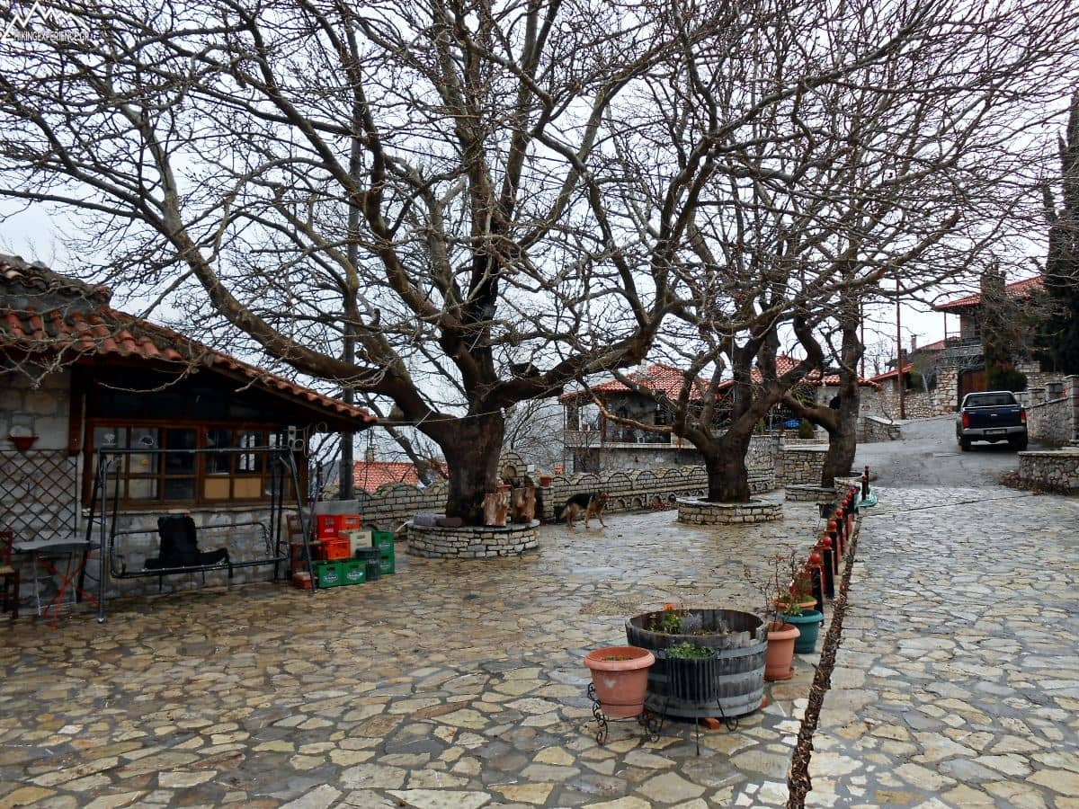 Βάργιανη: Το "κρυμμένο" διαμάντι του Παρνασσού