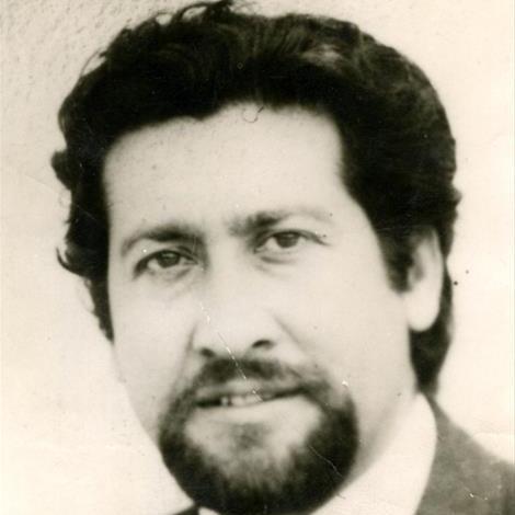 απώλειες