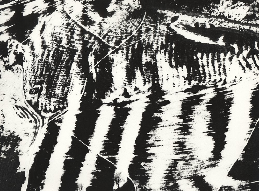 Giacomelli
