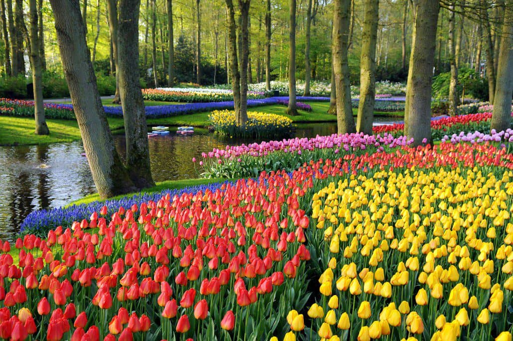 Keukenhof Gardens ανοιξιάτικοι κήποι