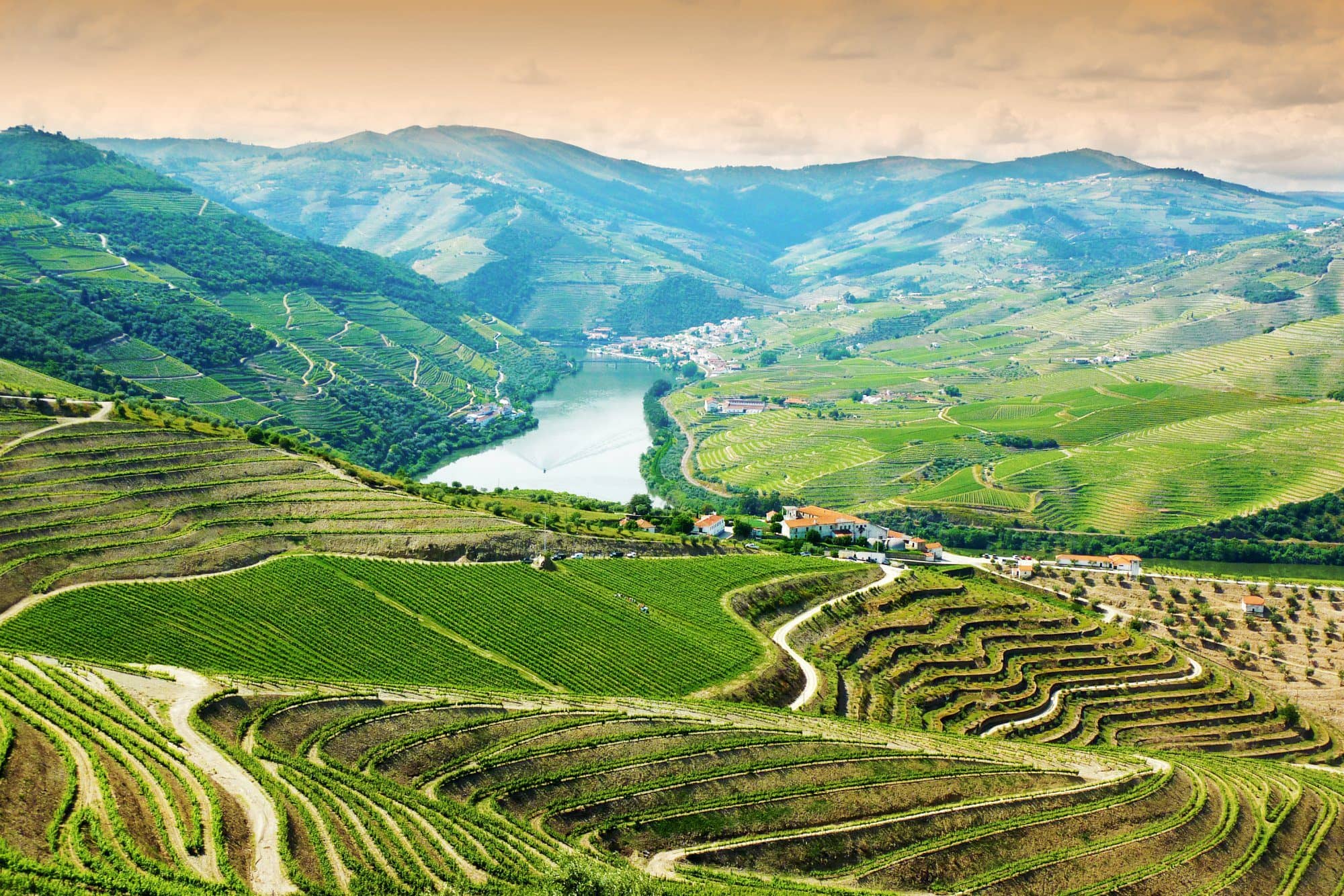 Douro Valley περιοχές κρασιού 