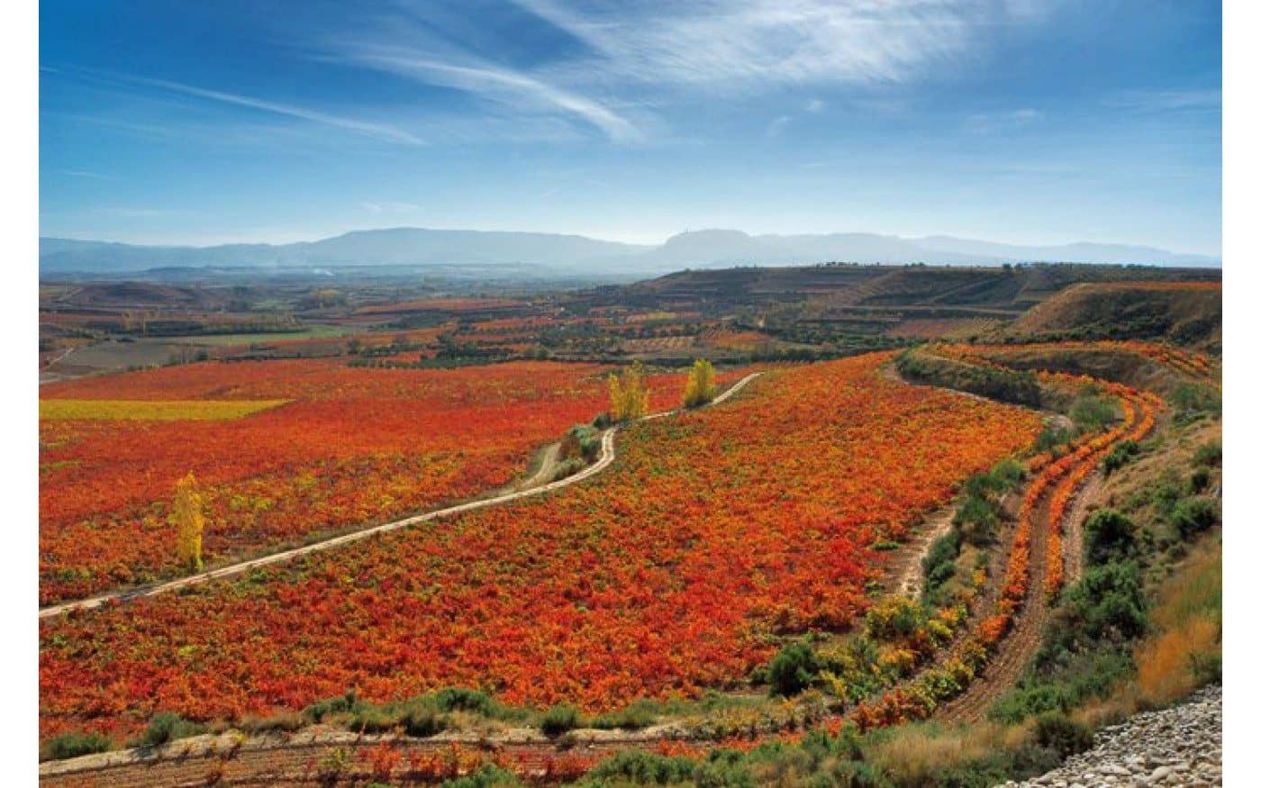 La Rioja Spain περιοχές κρασιού 
