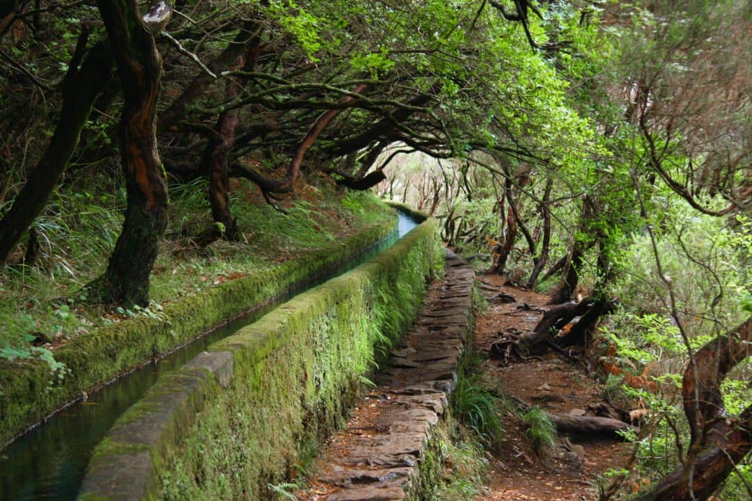 Madeira
