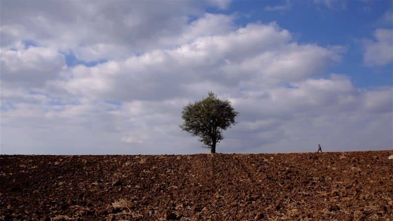 23ο Φεστιβάλ Ντοκιμαντέρ Θεσσαλονίκης