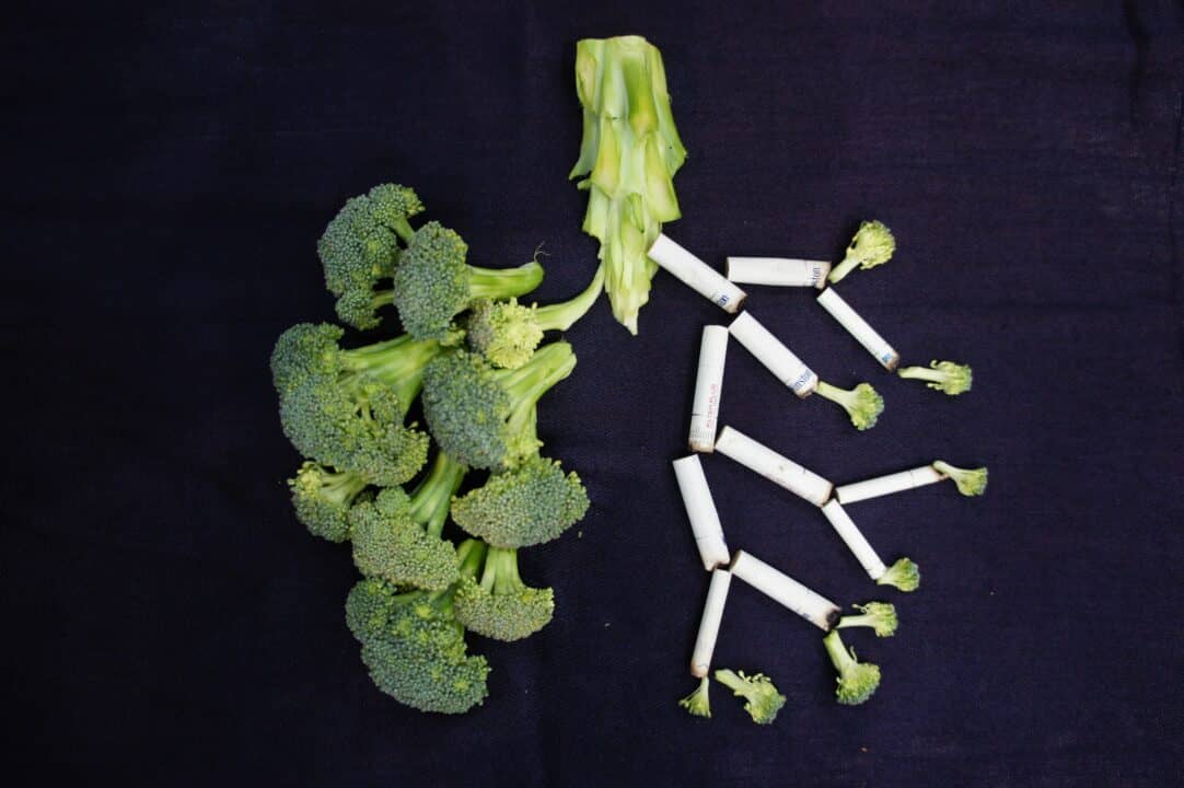 lung