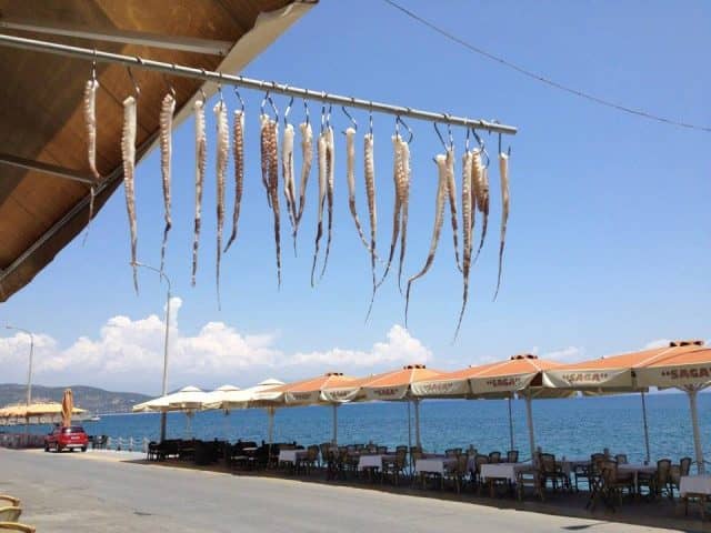 Φαγητό στο Γύθειο - Saga Fish