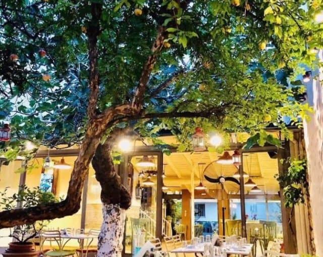 Εστιατόρια στο Αιγάλεω - Μεζέ Μεζέ