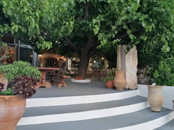 Φαγητό στη Σκύρο - Μουριές