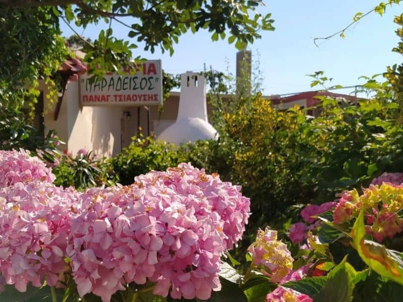εστιατόρια στη Σαμοθράκη - Παράδεισος