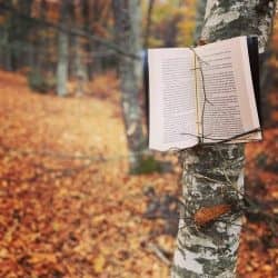 Η συνανάγνωση στο Magic October